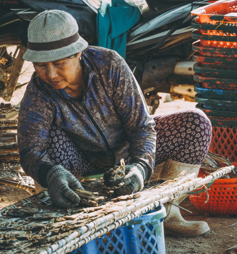 Ảnh minh họa quy trình phơi cá tại Việt Nam